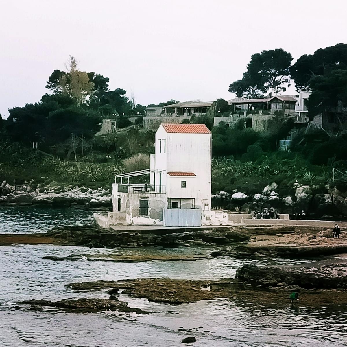 Imagen de caso de estudio de auto